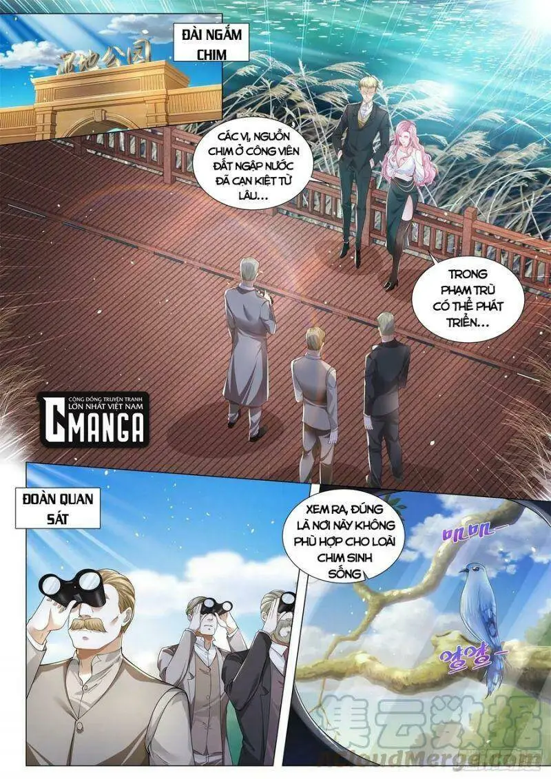 Chapter 293