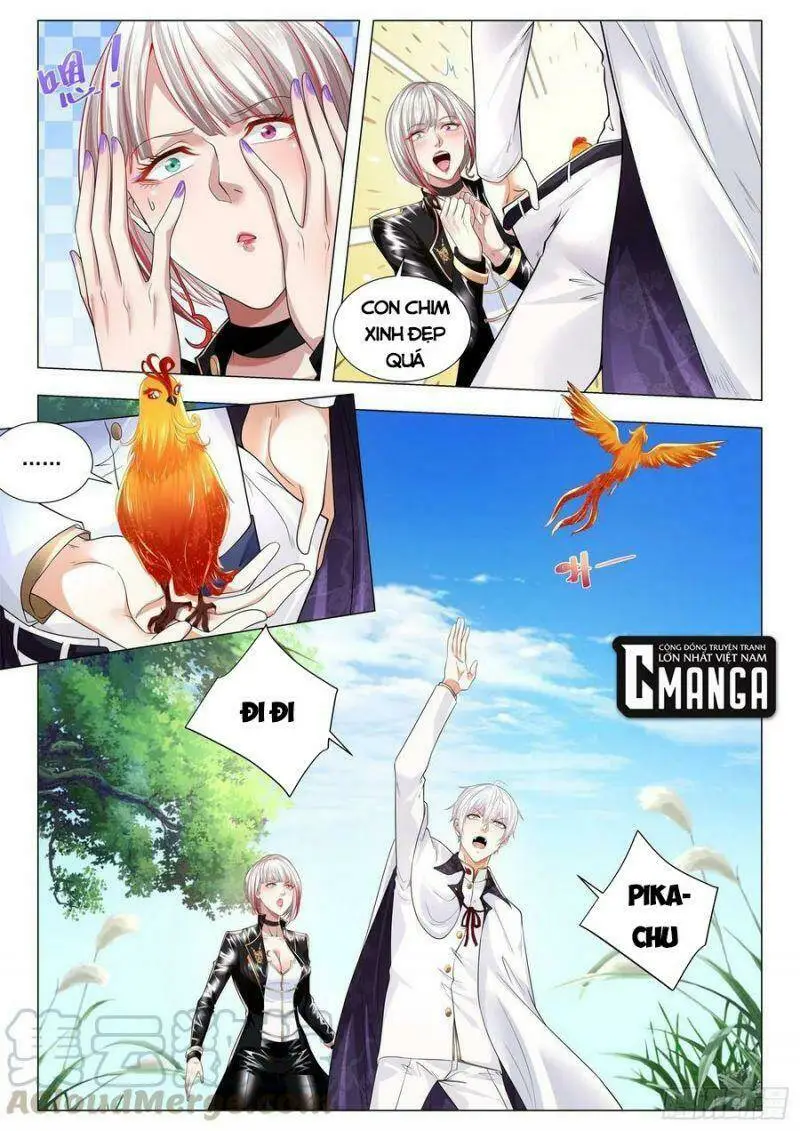Chapter 293
