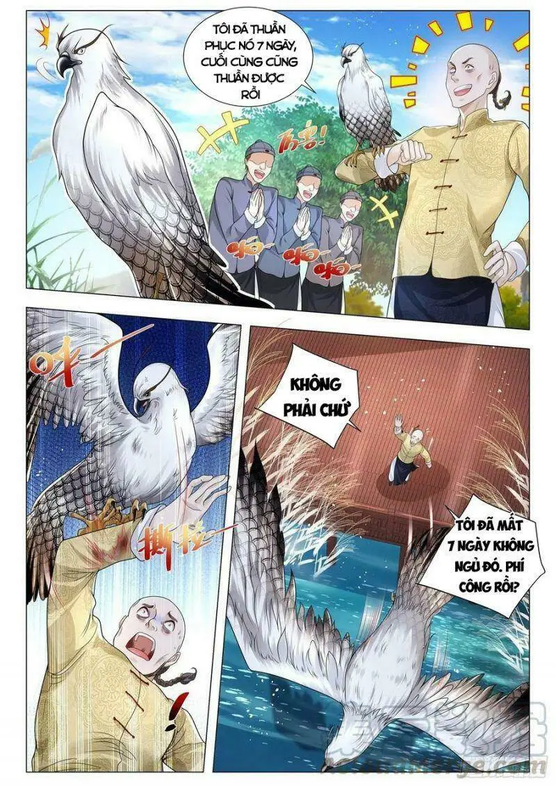 Chapter 293