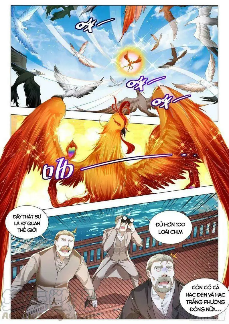 Chapter 293