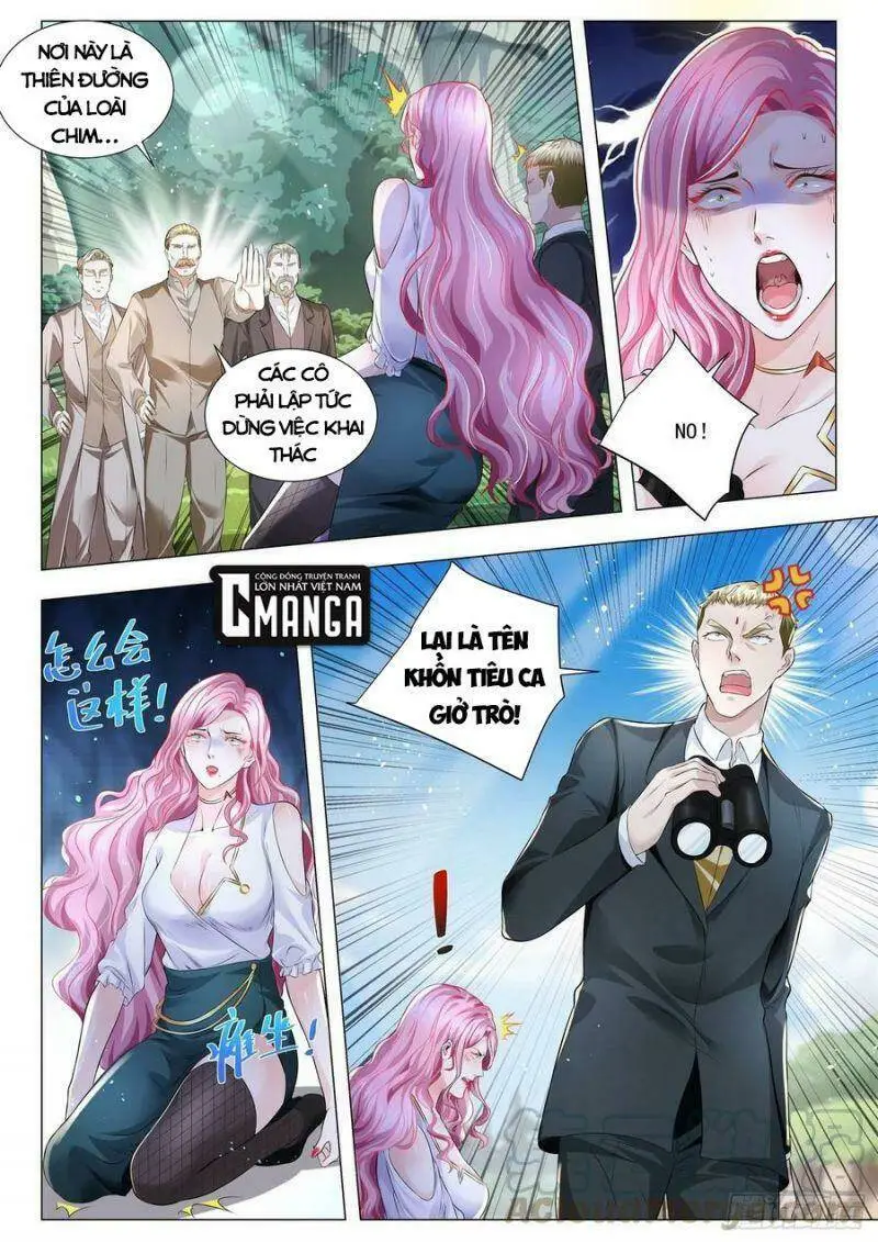 Chapter 293