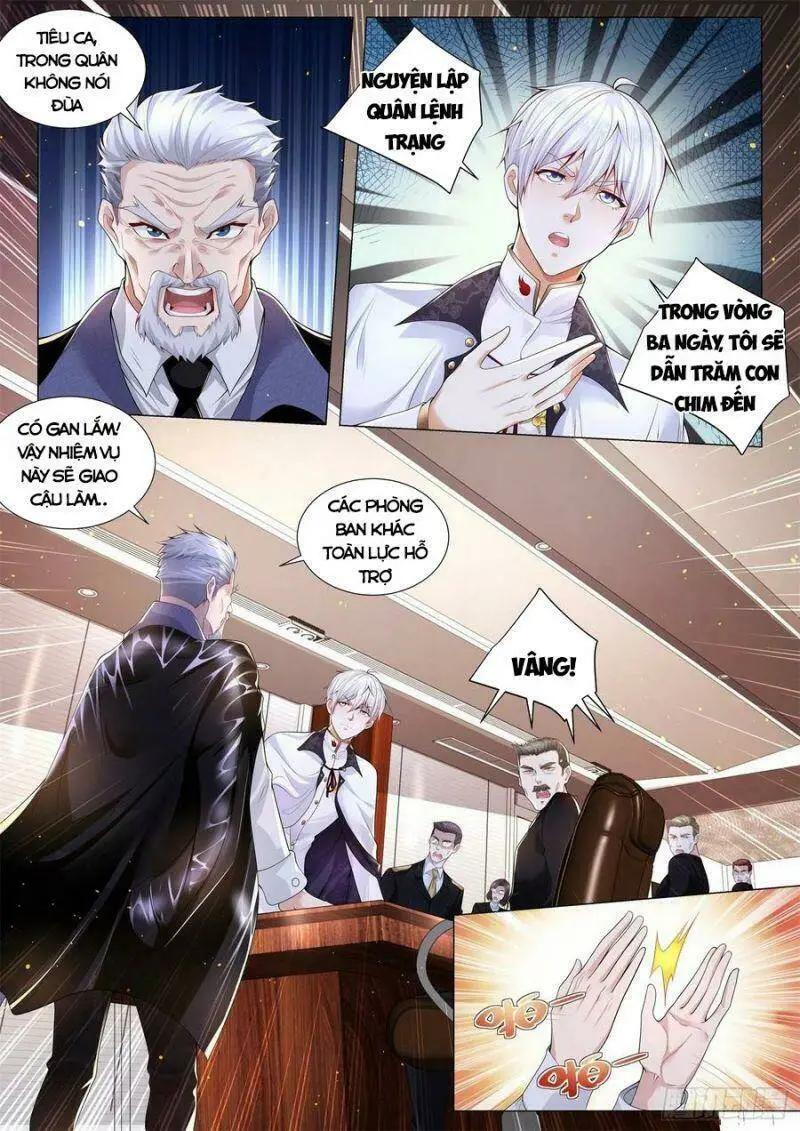 Chapter 292