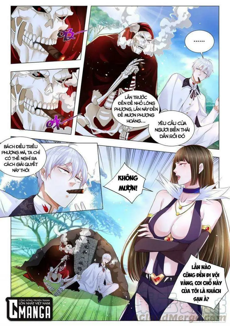 Chapter 292