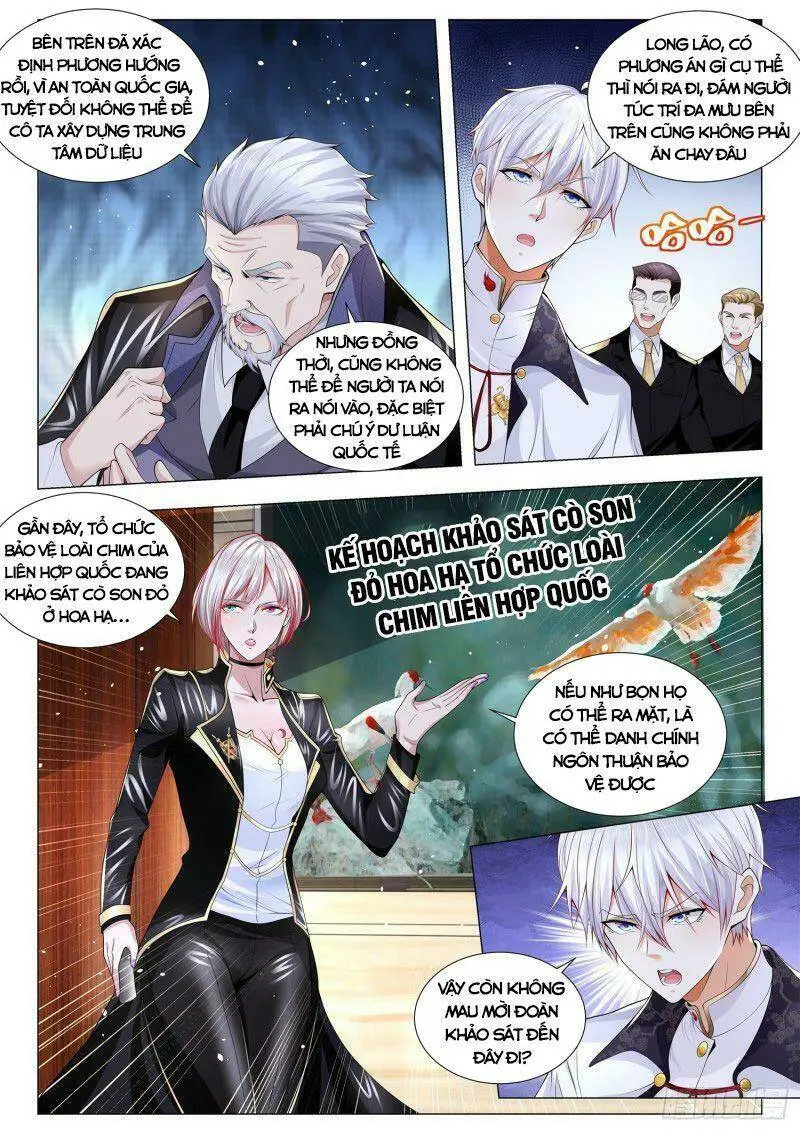 Chapter 291