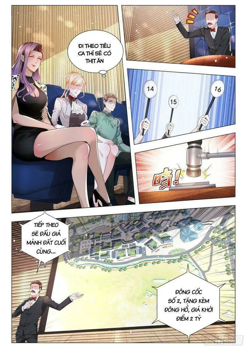 Chapter 290