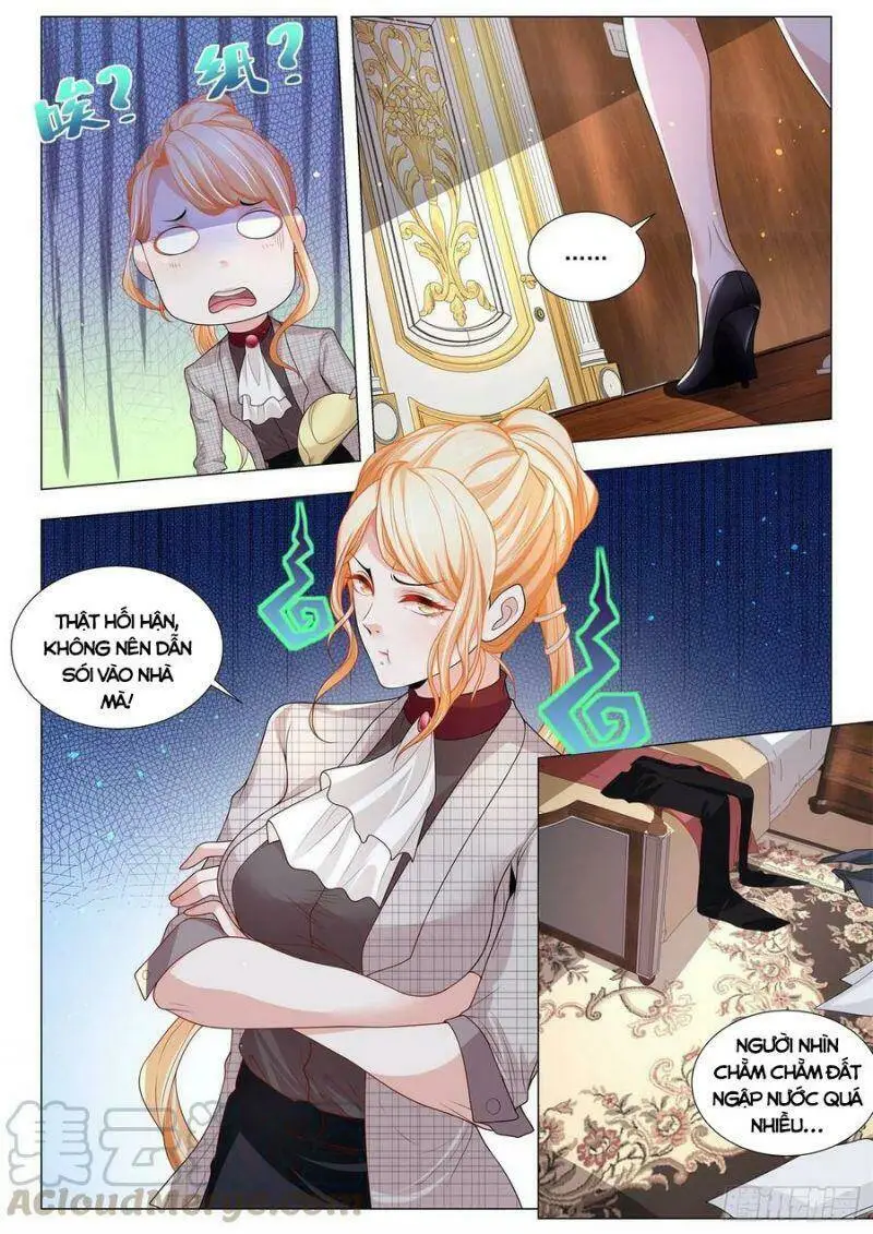 Chapter 289
