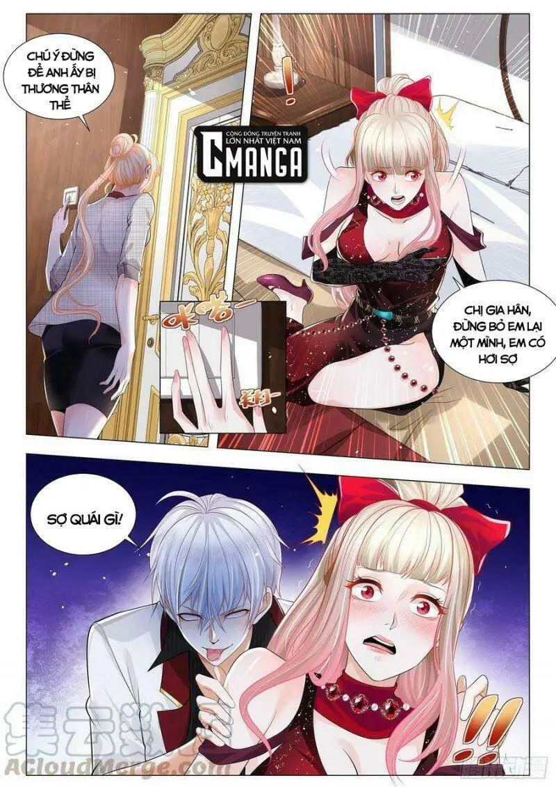 Chapter 289