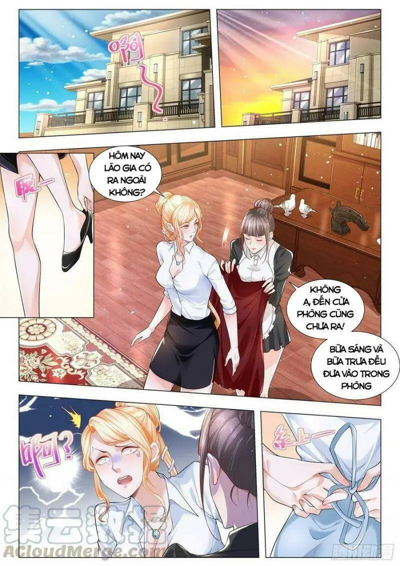 Chapter 289