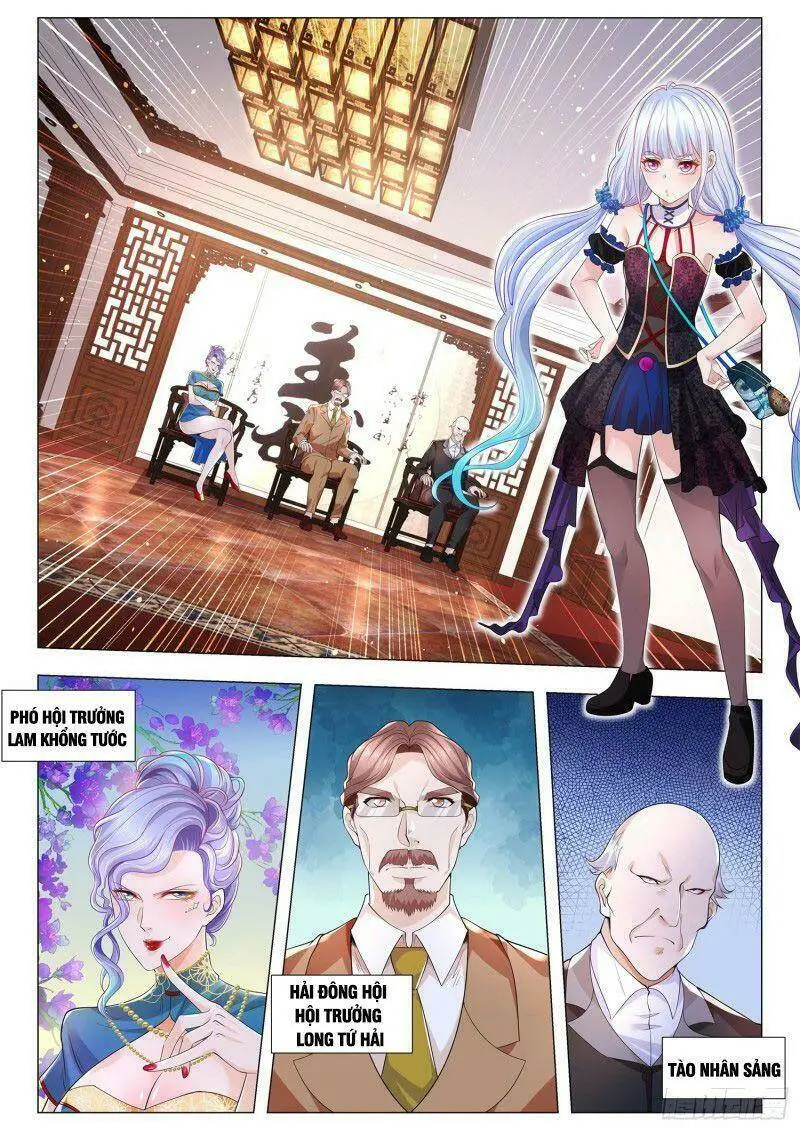Chapter 288
