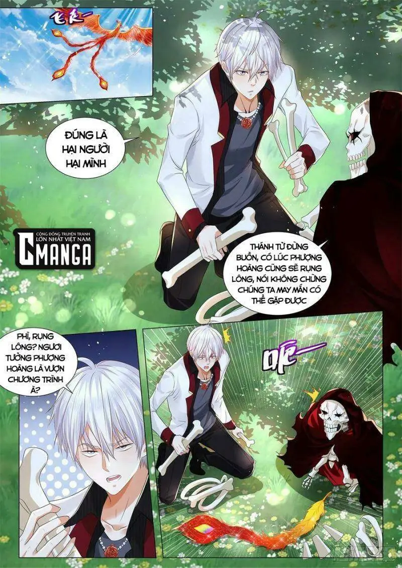 Chapter 285