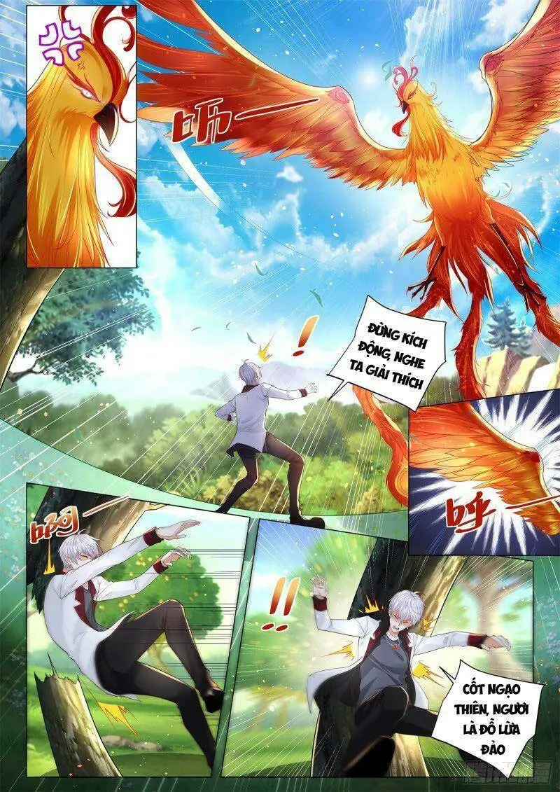 Chapter 284