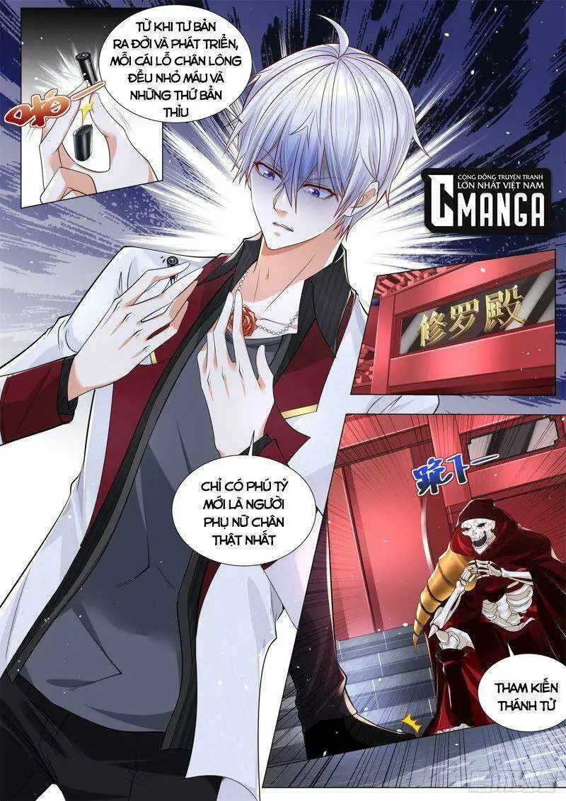 Chapter 284