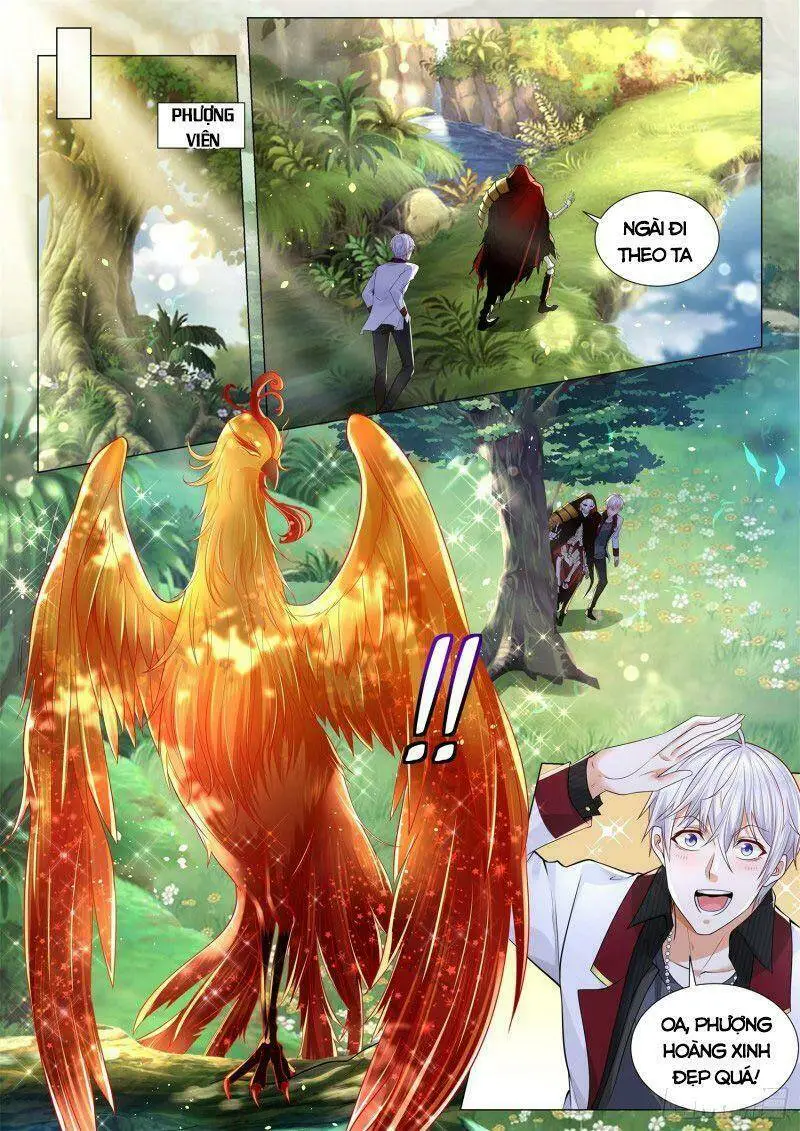 Chapter 284