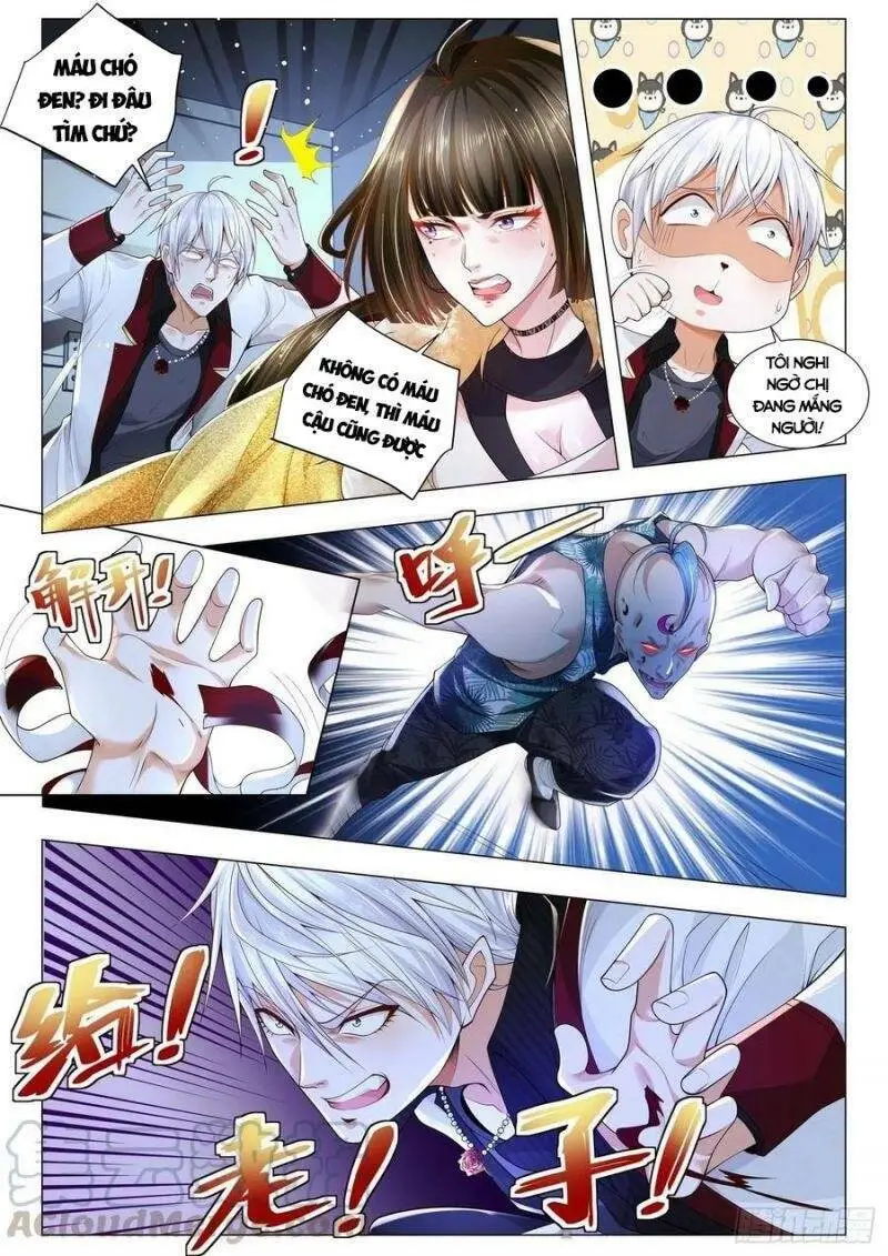 Chapter 278