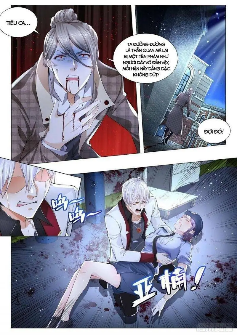 Chapter 278