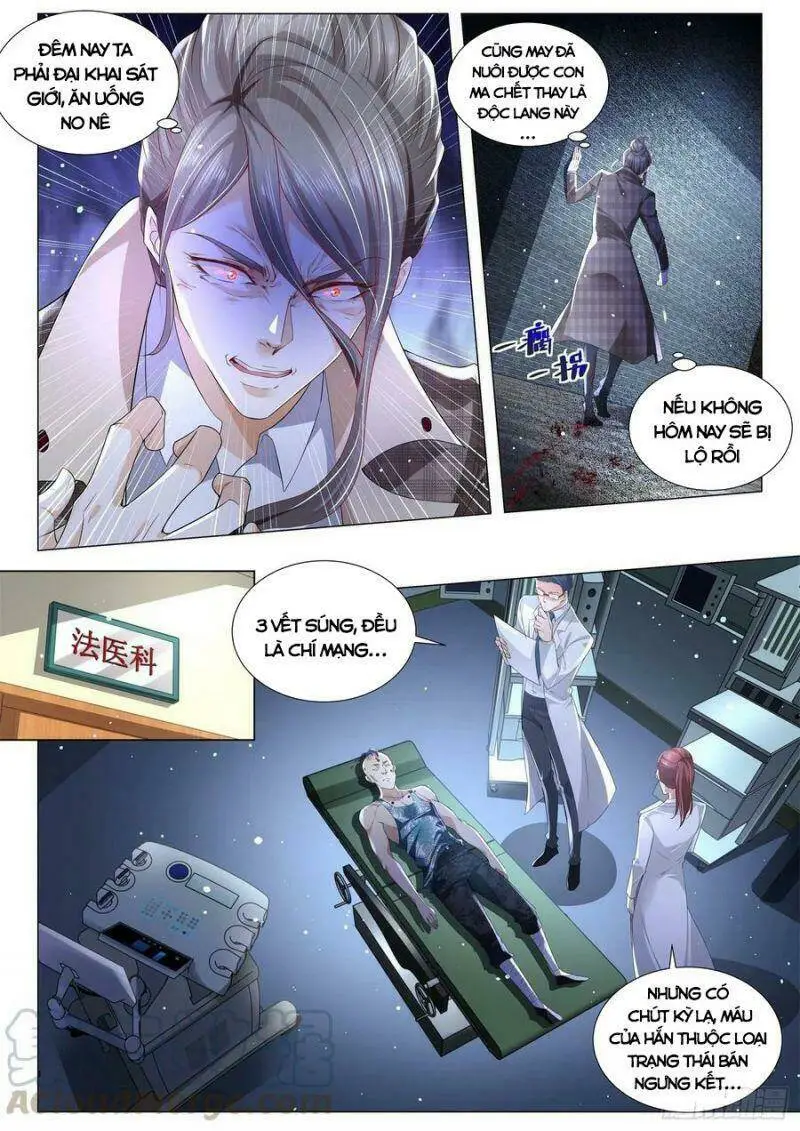 Chapter 277