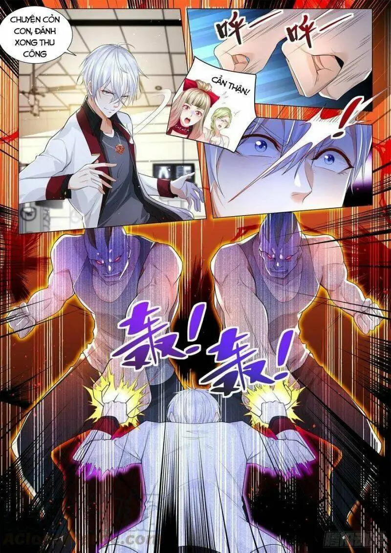 Chapter 272