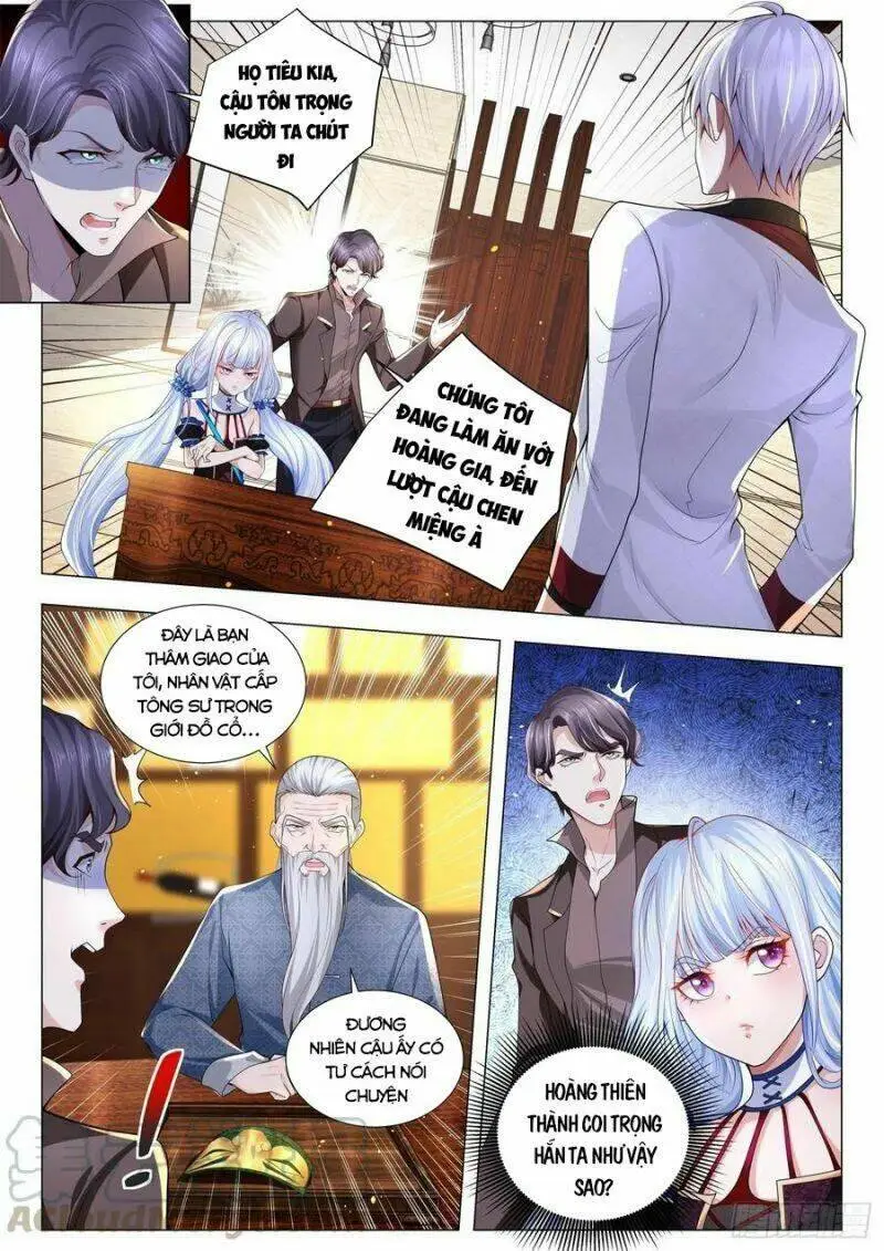 Chapter 272