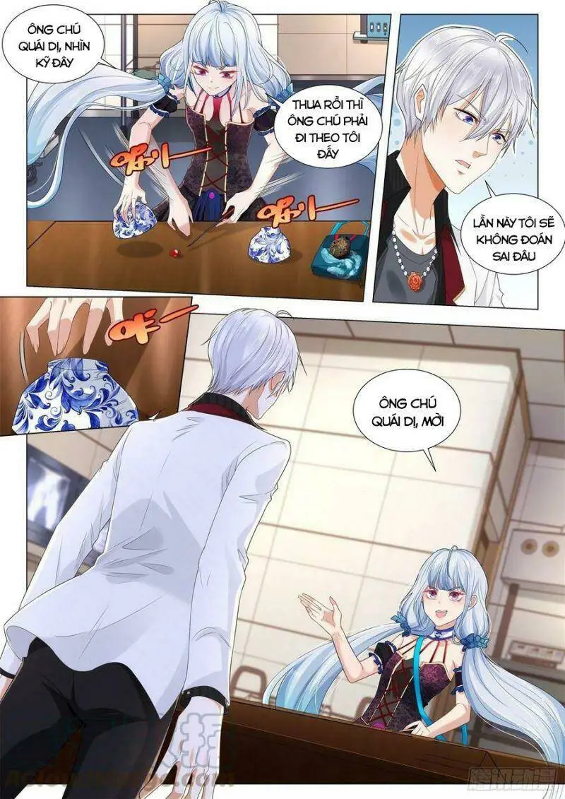 Chapter 271