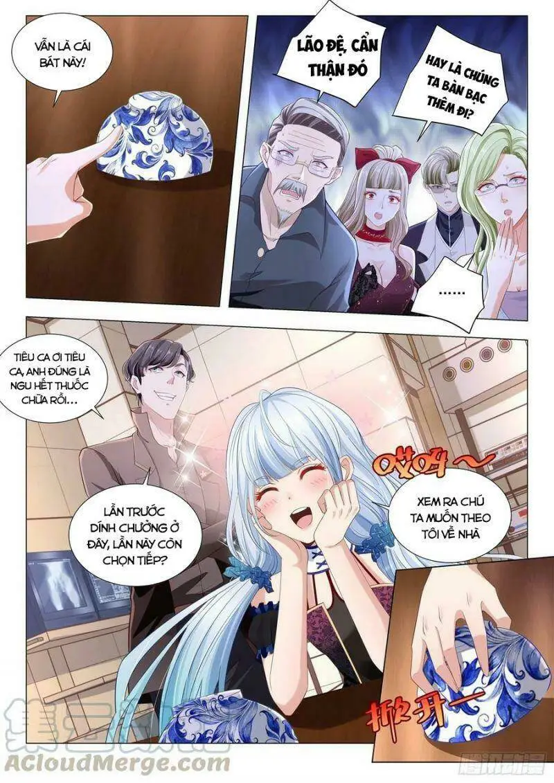 Chapter 271