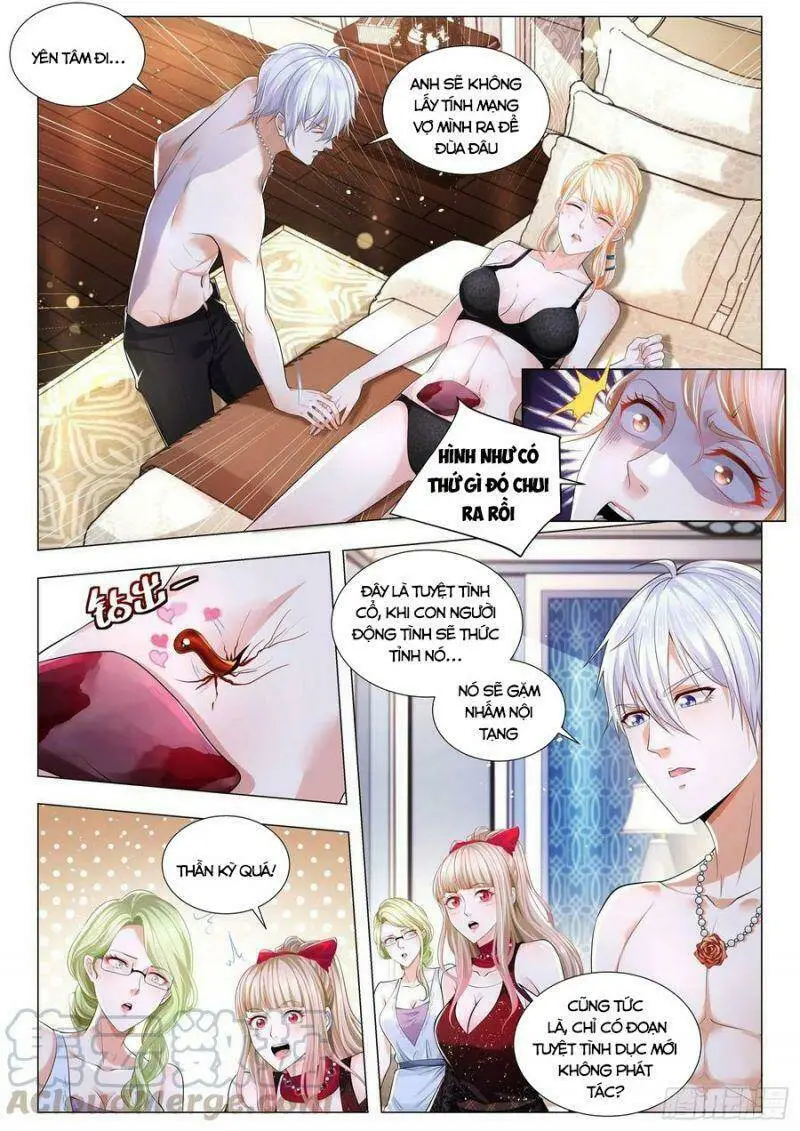 Chapter 269