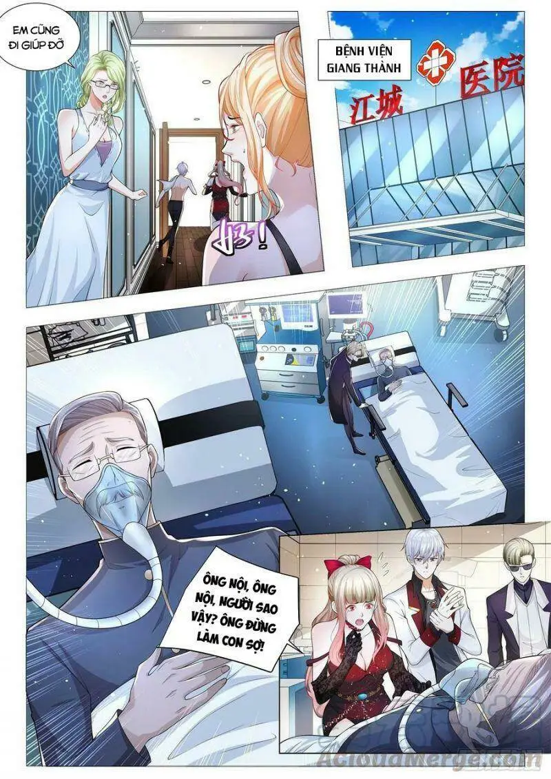 Chapter 269