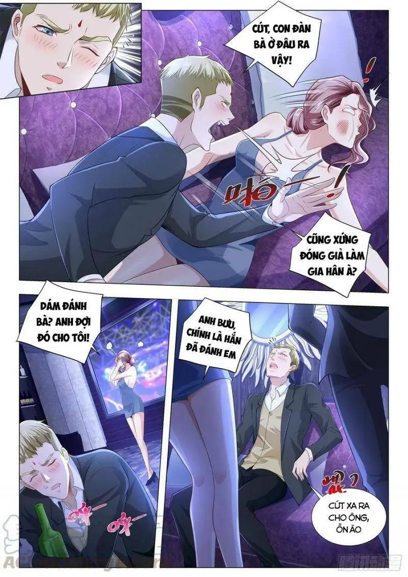 Chapter 268