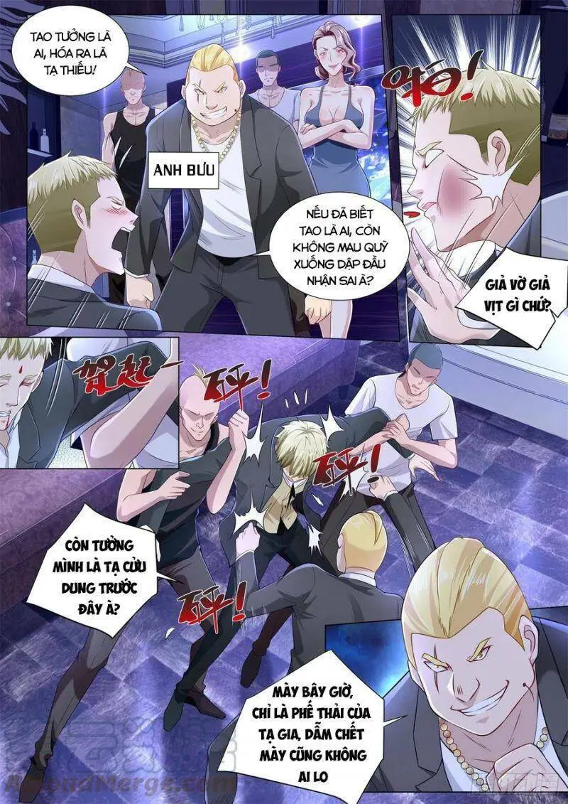 Chapter 268