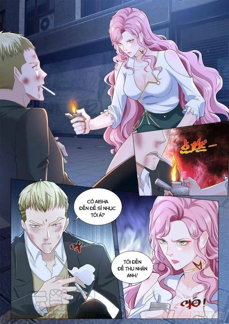 Chapter 268