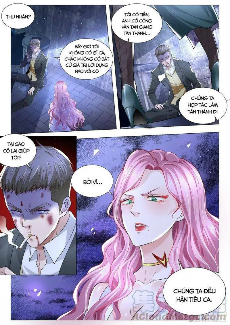 Chapter 268
