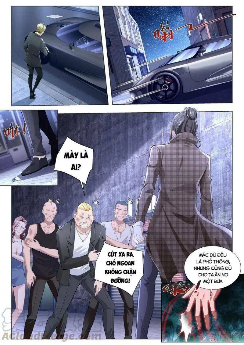 Chapter 268