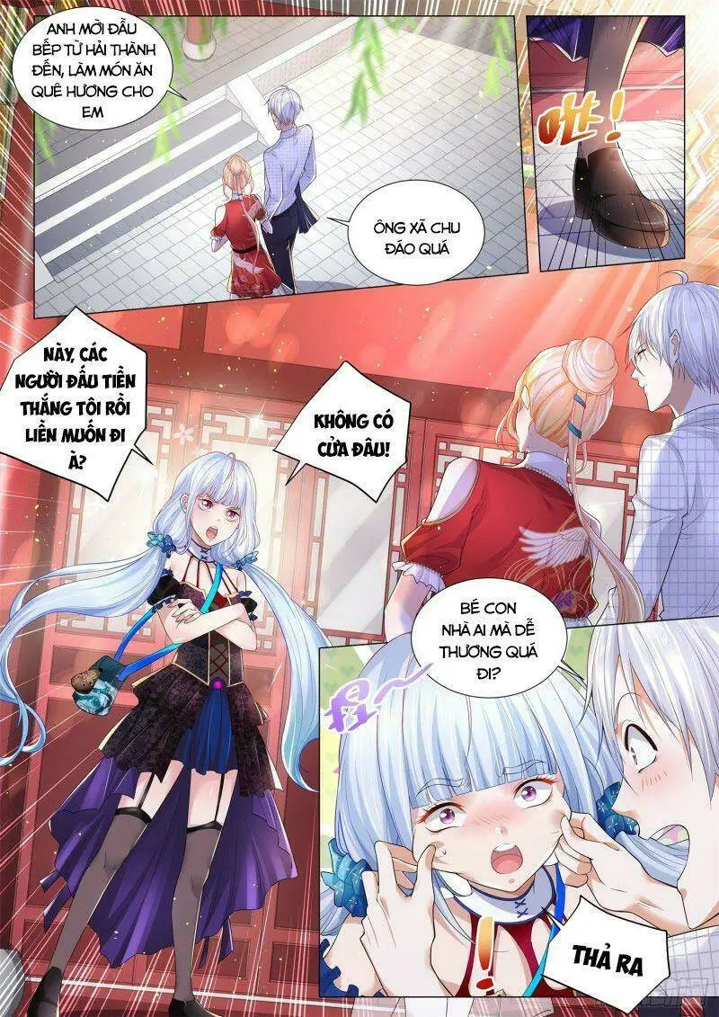 Chapter 267