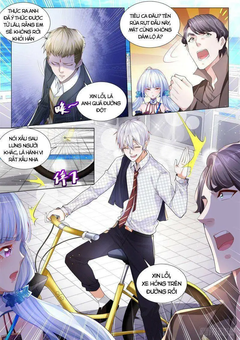 Chapter 266