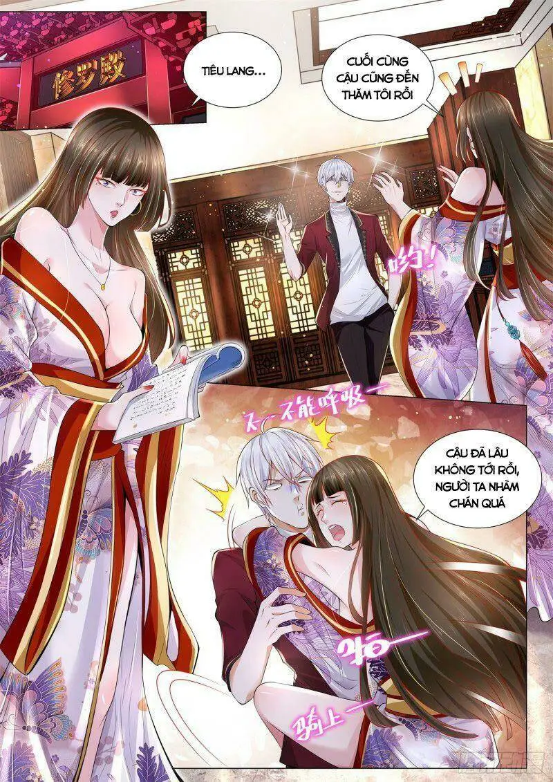 Chapter 260
