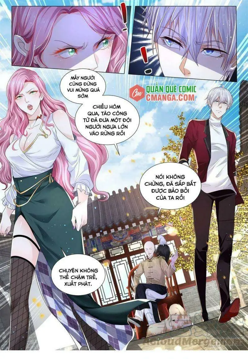 Chapter 256