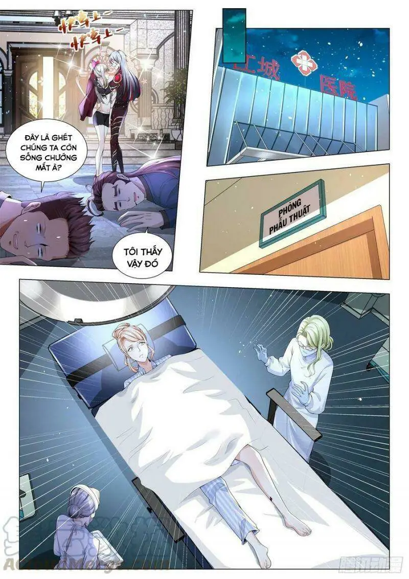 Chapter 255