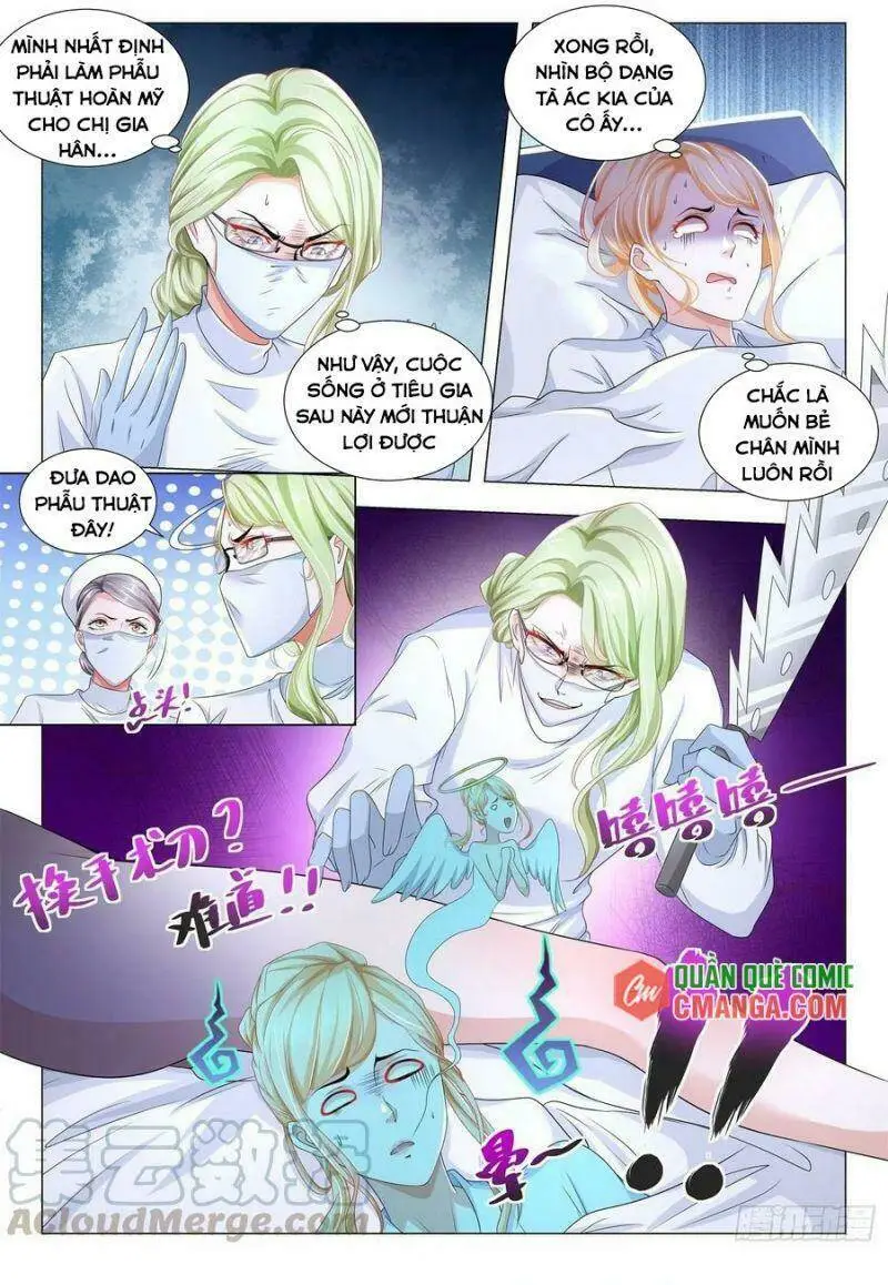 Chapter 255