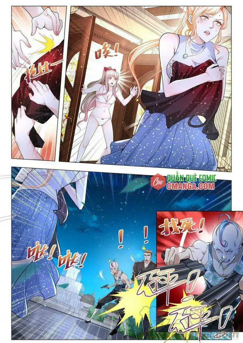Chapter 255