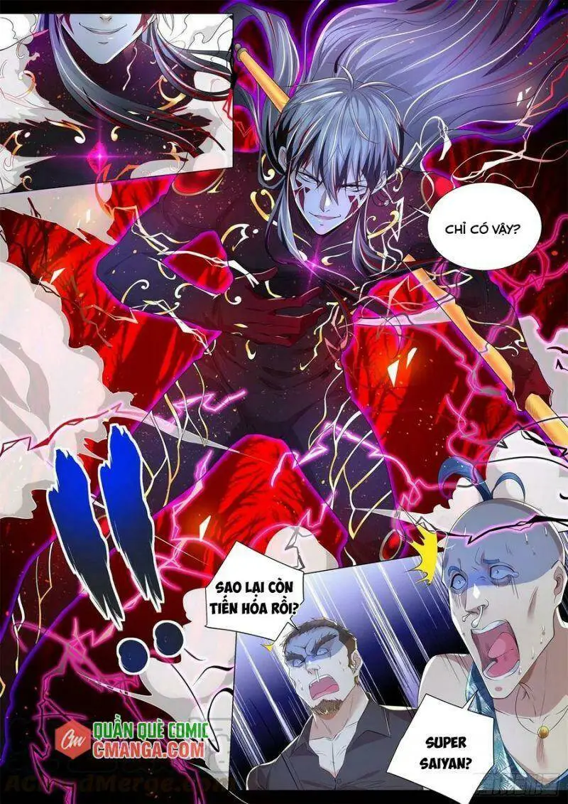 Chapter 255