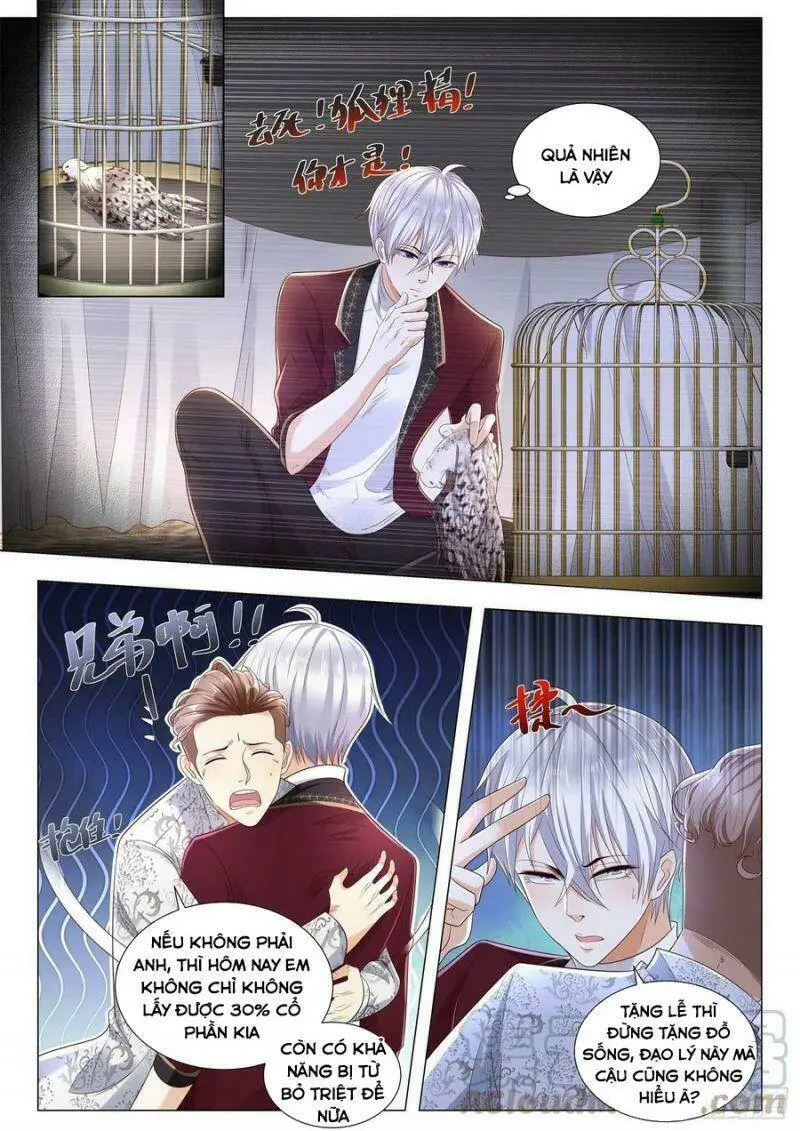 Chapter 253