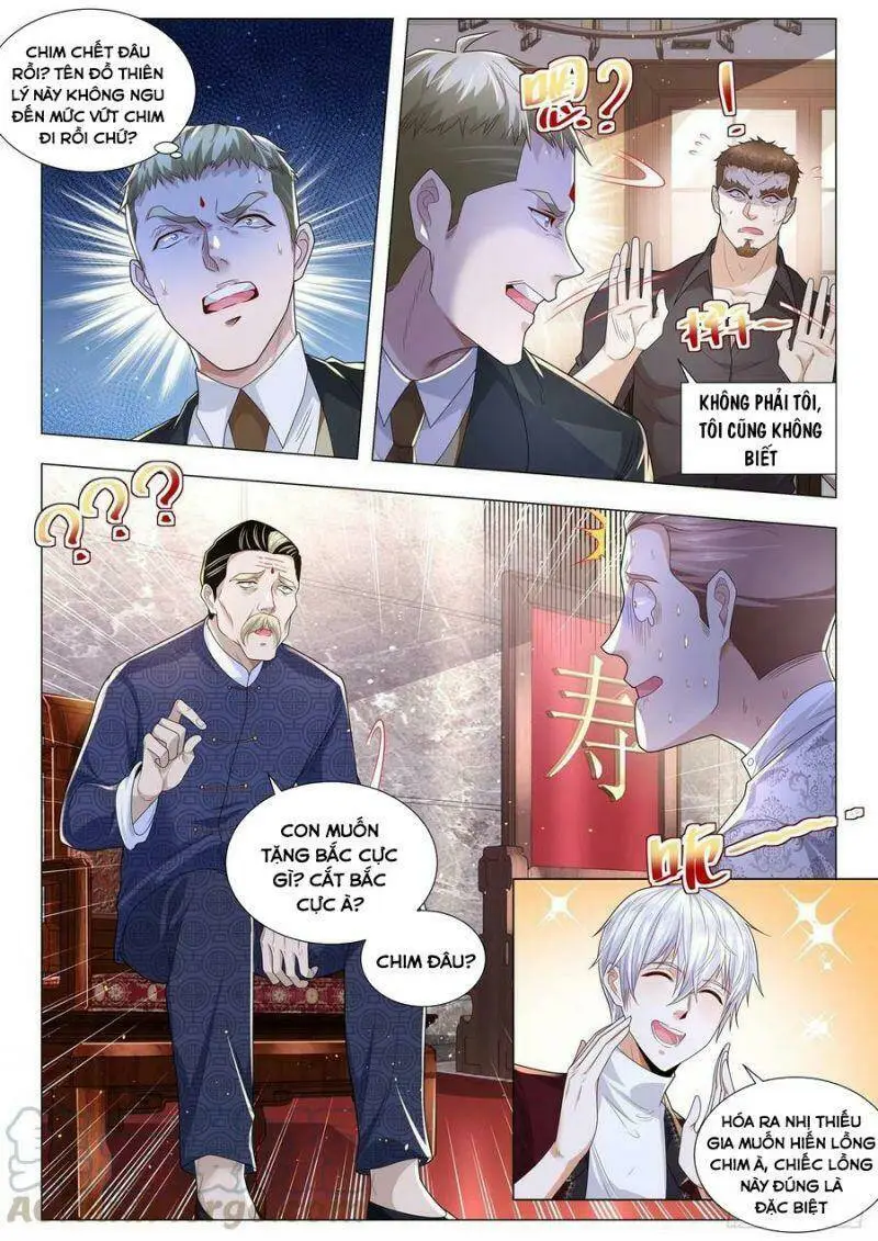 Chapter 252