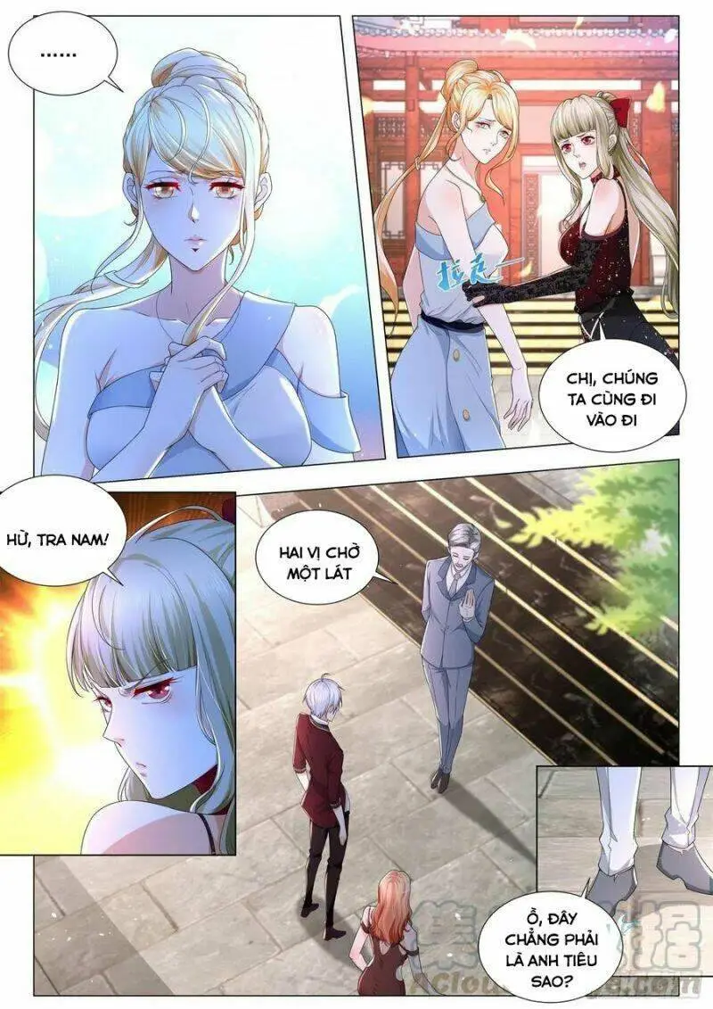 Chapter 251