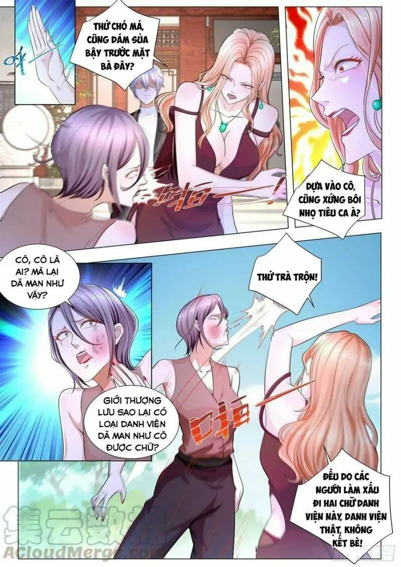 Chapter 251