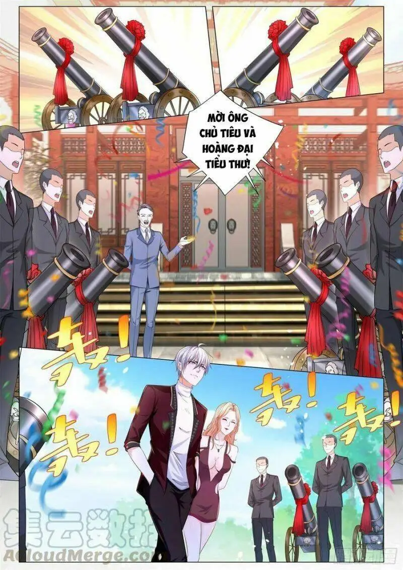 Chapter 251