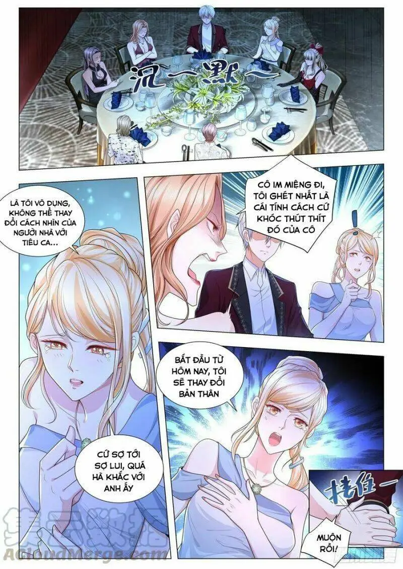 Chapter 251