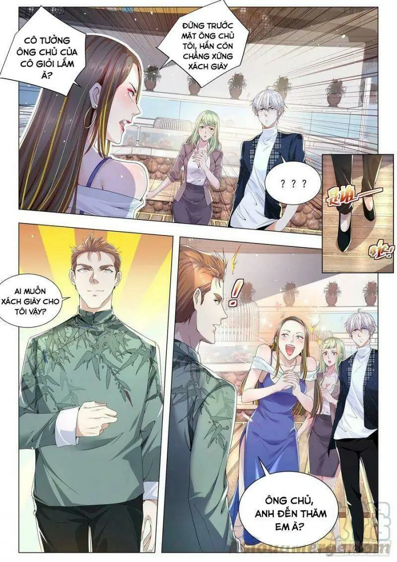 Chapter 250