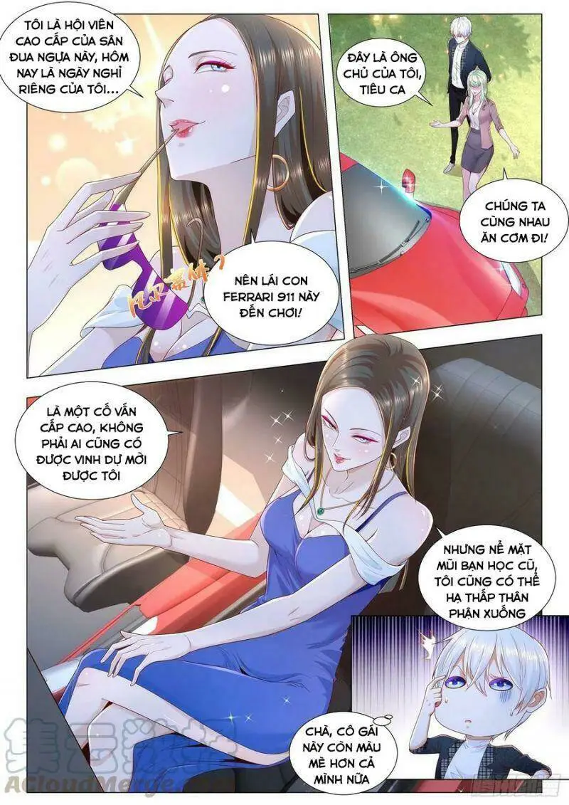 Chapter 249