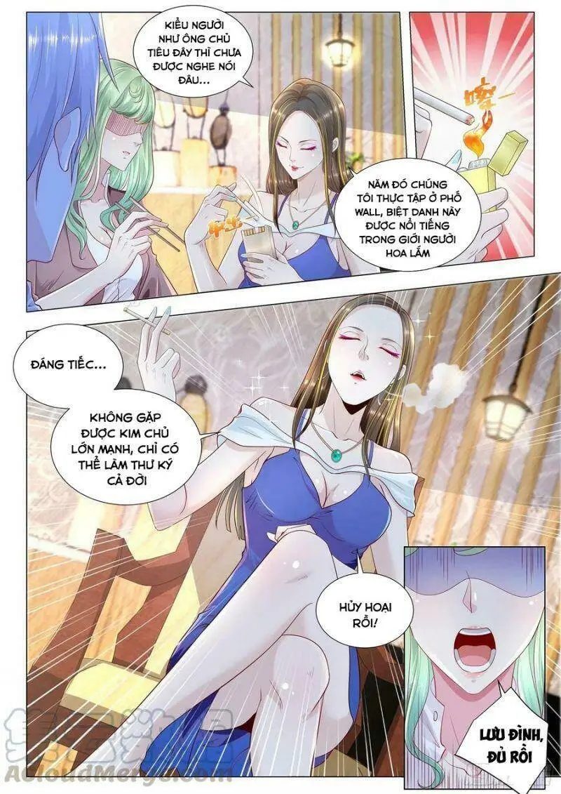 Chapter 249