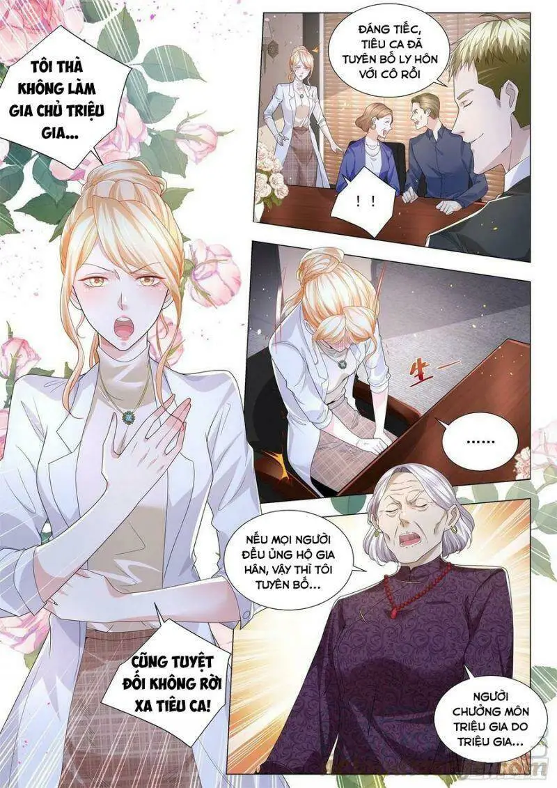 Chapter 246