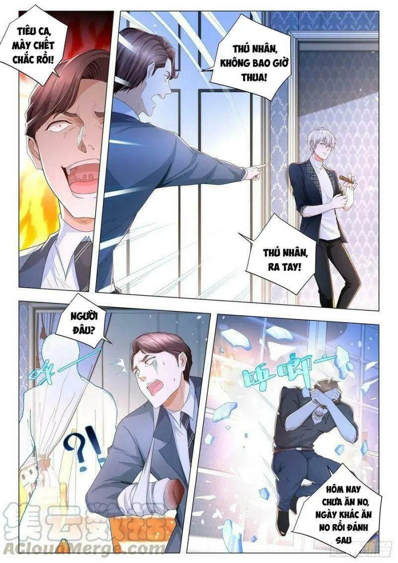 Chapter 243
